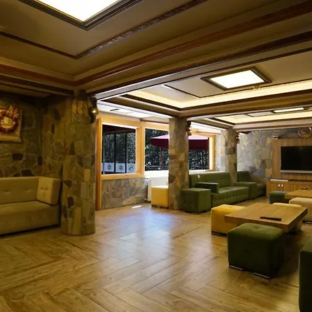 Hasimoglu